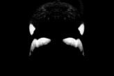 Blackfish_documentary_Tilikum