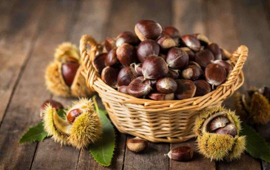 castagne.consigli.solocine.it