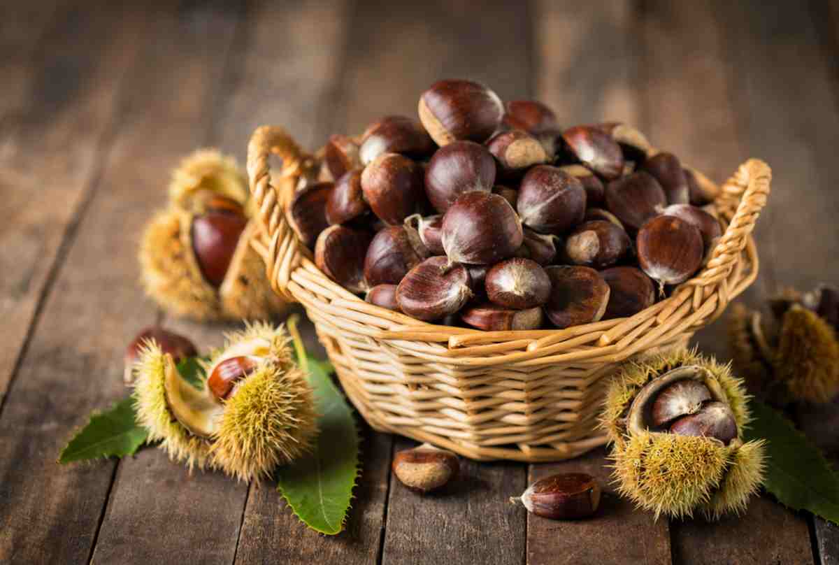 castagne.consigli.solocine.it