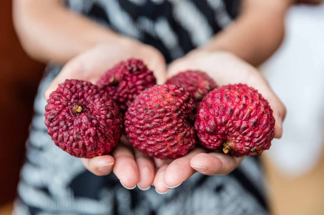 Frutta-pasto-solocine.it