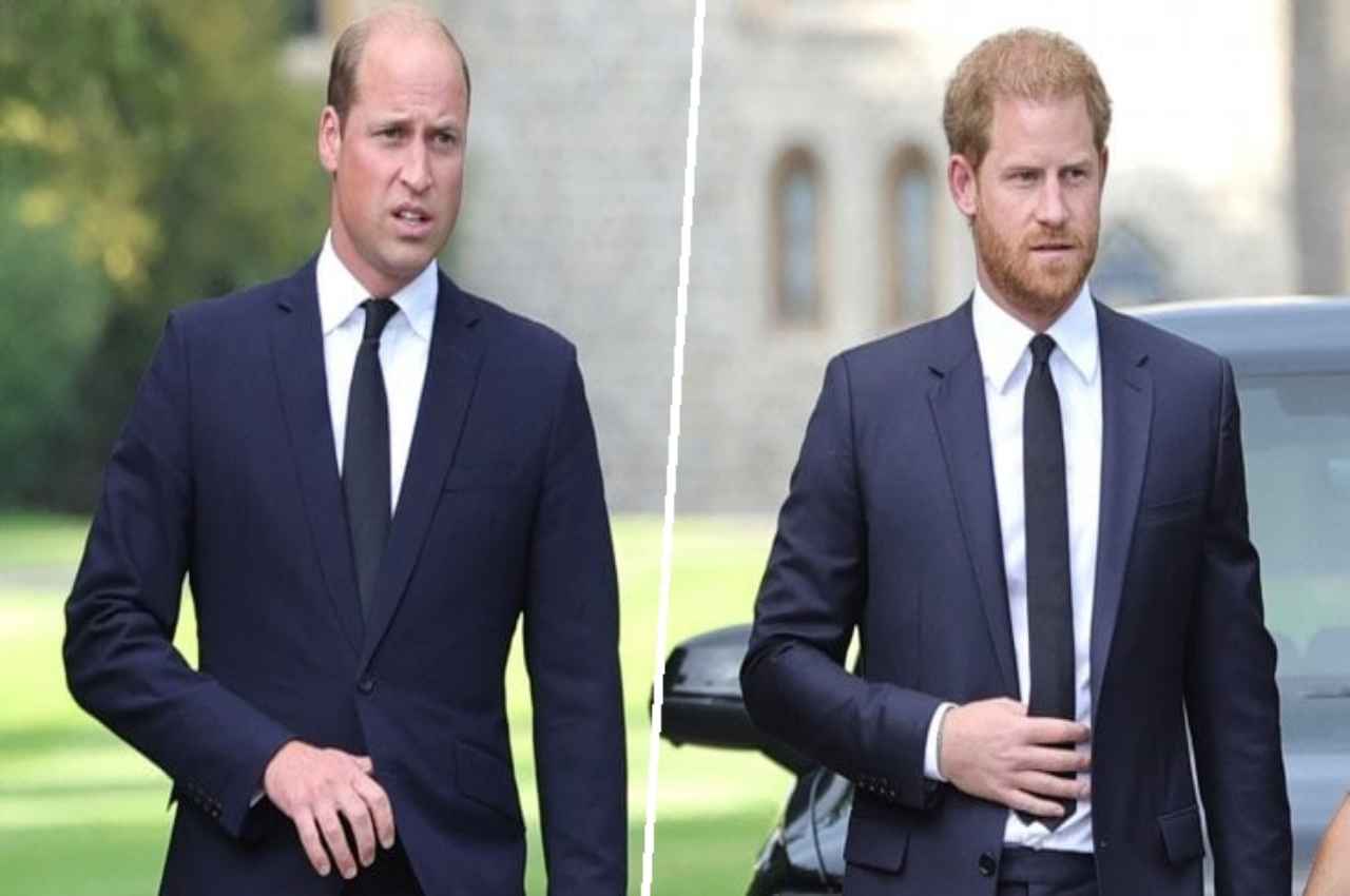 half-brothers harry and william