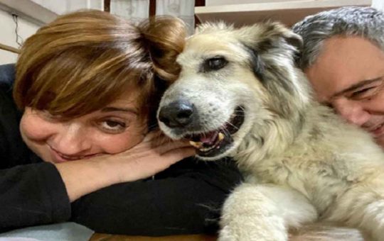 Una nuova versione di Benedetta Rossi