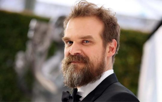 david harbour solocine