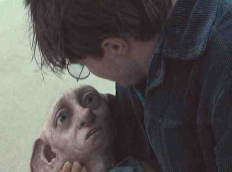 Harry Potter disastro ecologico Dobby