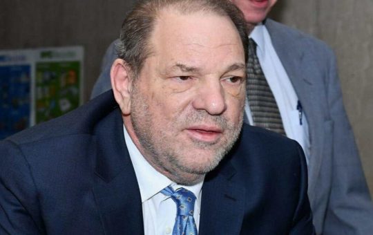 harvey weinstein solocine