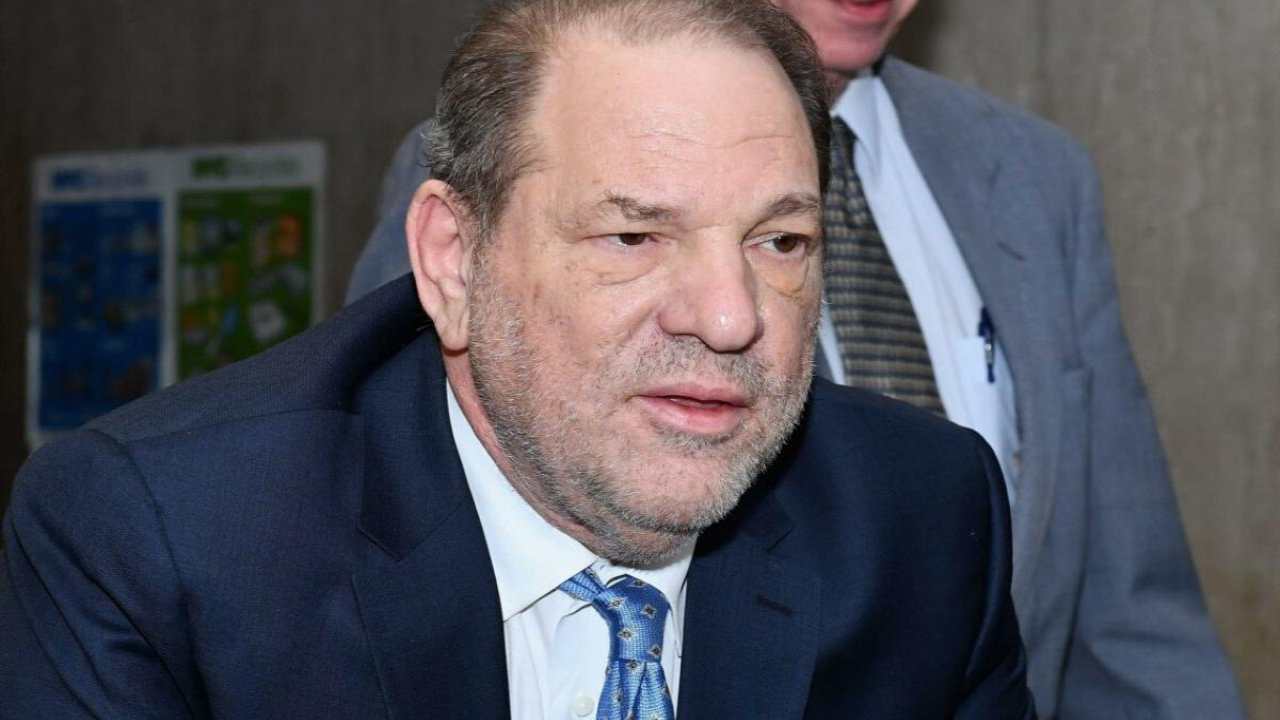 harvey weinstein solocine