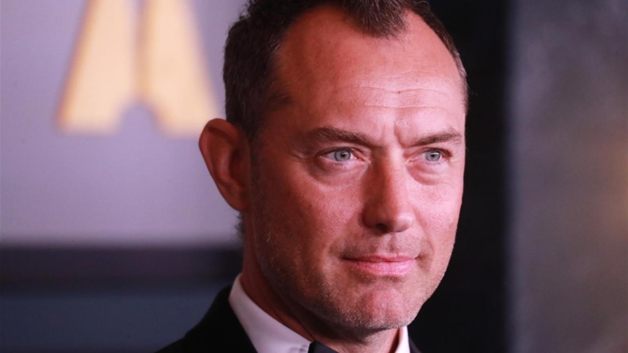 jude law solocine