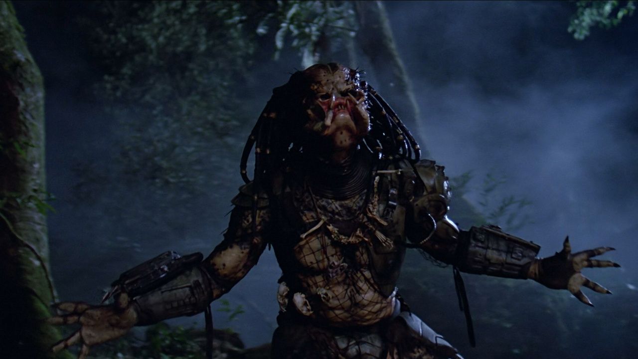 Predator solocine.it