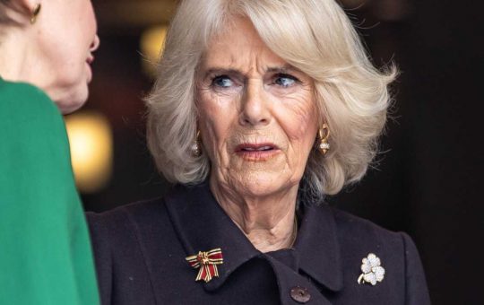 Camilla non meritava uno schiaffo del genere