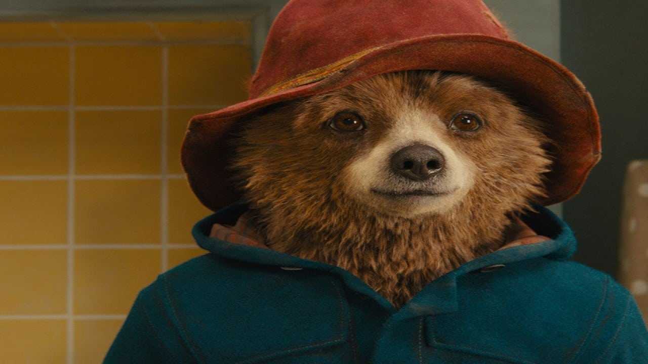 paddington solocine