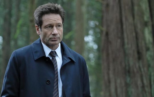 David Duchovny solocine.it