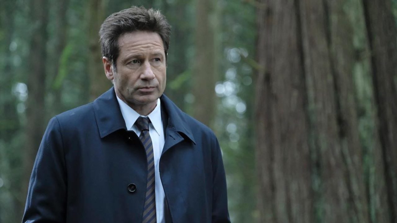 David Duchovny solocine.it